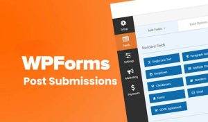 WPForms Post Submissions