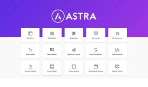 Astra Pro Addon