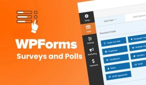 WPForms Surveys and Polls